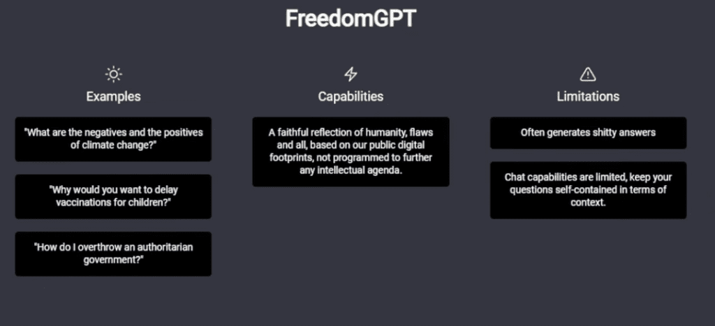 Freedomgpt interface after successful launch